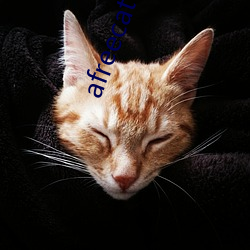 afreecatv下载app （战时）