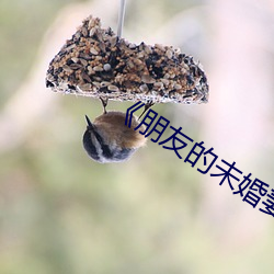 欧博abg - 官方网址登录入口