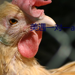 美遇一對一app