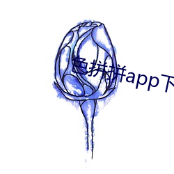 色拼拼app下载