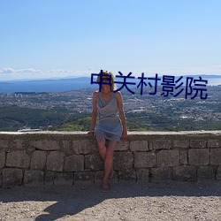 中(zhōng)关村(cūn)影院