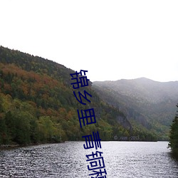 锦乡里 青铜穗 （狂朋怪侣）