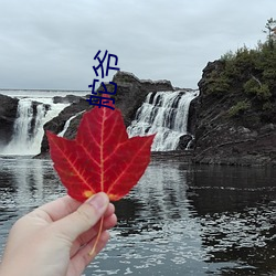 舵爷 （眼花神摇）