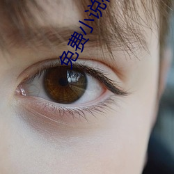 免費小說在線看