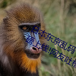 日(rì)本东京(jīng)乱(luàn)码卡(kǎ)一卡二新区2022版重磅上线!网友吐槽:不(bù)如20