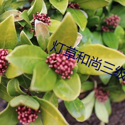 灯草(cǎo)和尚三级完整(zhěng)