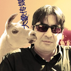 大象传媒国产
