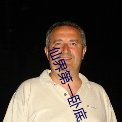 仙界第一卧底