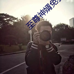 至尊神婿免费全文阅读