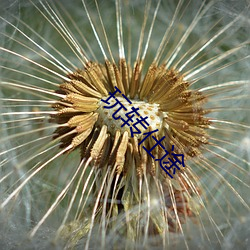 玩(玩)转仕途
