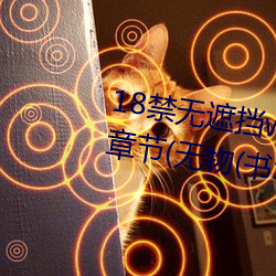 18禁無遮擋www羞羞汙汙汙最新章節(無物(書坊))