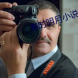 秦时明月小说
