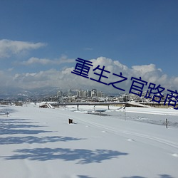 重生之官路商途