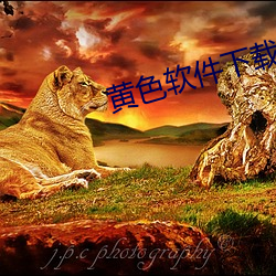 suncitygroup太阳集团--官方网站