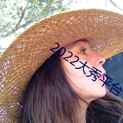 2022大秀平台