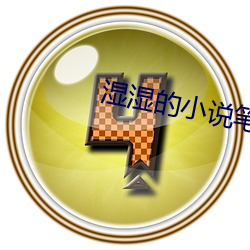 湿湿(shī)的(de)小说笔趣阁