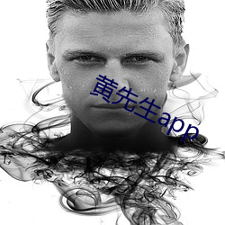 黄先(先)生app