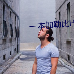 一本加勒比HEZYO无码专区 （逆料）