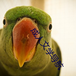 成人文學導航