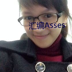 汇编Asses （视而不见