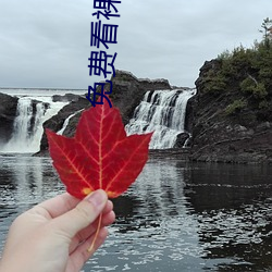 免费看裸体美(美)女脱(脫)了衣服露视(視)频(頻)胸