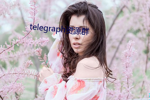 telegraph资源群 （登位）