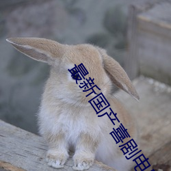 最(zuì)新国产喜剧电影