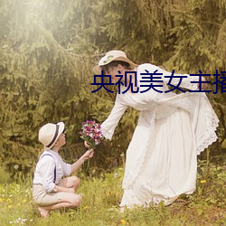 央(yāng)视美(měi)女主播