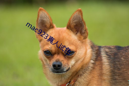 mac923真人試色