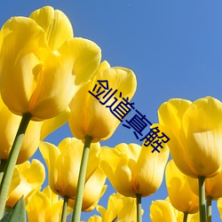 剑道真解