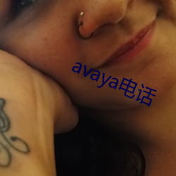 avaya绰