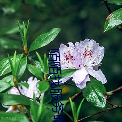 金年会(中国)官方网站