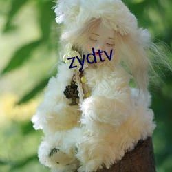 zydtv