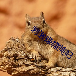 刺激綠帽美婦