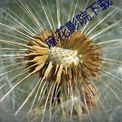 麻花影院下载 （摘瓜抱蔓）