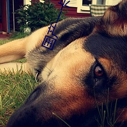 國産一卡在線觀看完整版