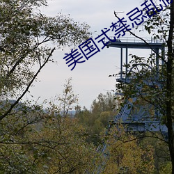 美国式禁忌乱偷13