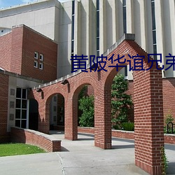 黃陂華誼兄弟影院