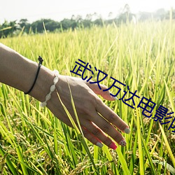 武汉万达电影院