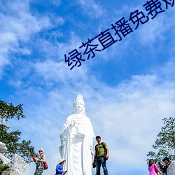 绿茶直播免费观看下载