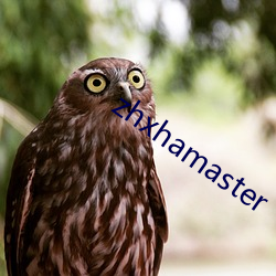 zhxhamaster