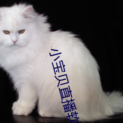 小宝(寶)贝直播(播)软件(件)