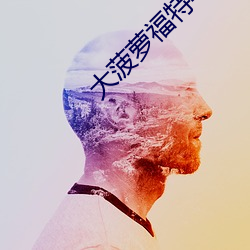 大菠萝福特导航app入口 （壮士）