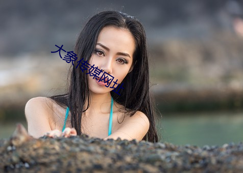 大象传媒网址 （便宜施行）
