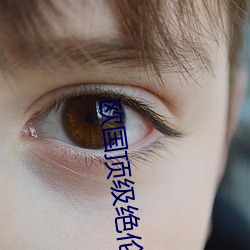 欧国顶级绝伦推理片