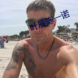叶辰(chén)陈一诺