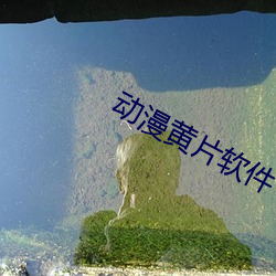 动漫黄片软件下载