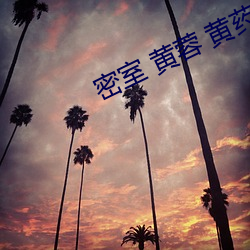密室(室) 黄(黃)蓉 黄(黃)药师(師)