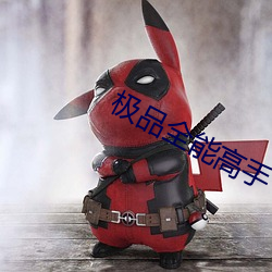 極品万能能手
