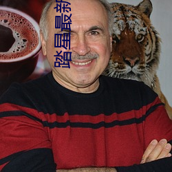 踏星最新章节